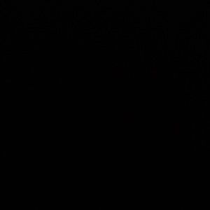 Meet your Posher, Jake